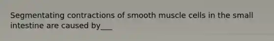 Segmentating contractions of smooth muscle cells in the small intestine are caused by___