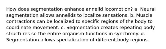 How does segmentation enhance annelid locomotion? a. Neural segmentation allows annelids to localize sensations. b. Muscle contractions can be localized to specific regions of the body to coordinate movement. c. Segmentation creates repeating body structures so the entire organism functions in synchrony. d. Segmentation allows specialization of different body regions.