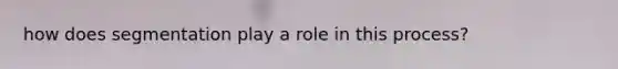 how does segmentation play a role in this process?