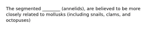 The segmented ________ (annelids), are believed to be more closely related to mollusks (including snails, clams, and octopuses)