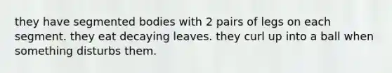 they have segmented bodies with 2 pairs of legs on each segment. they eat decaying leaves. they curl up into a ball when something disturbs them.