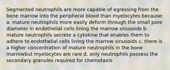 Segmented neutrophils are more capable of egressing from the bone marrow into the peripheral blood than myelocytes because: a. mature neutrophils more easily deform through the small pore diameter in endothelial cells lining the marrow sinusoids b. mature neutrophils secrete a cytokine that enables them to adhere to endothelial cells lining the marrow sinusoids c. there is a higher concentration of mature neutrophils in the bone marrowbut myelocytes are rare d. only neutrophils possess the secondary granules required for chemotaxis