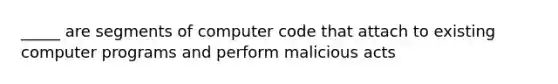 _____ are segments of computer code that attach to existing computer programs and perform malicious acts