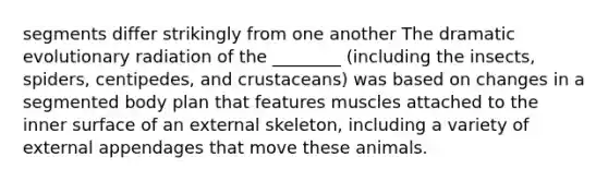 segments differ strikingly from one another The dramatic evolutionary radiation of the ________ (including the insects, spiders, centipedes, and crustaceans) was based on changes in a segmented body plan that features muscles attached to the inner surface of an external skeleton, including a variety of external appendages that move these animals.