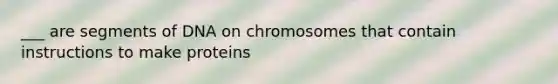 ___ are segments of DNA on chromosomes that contain instructions to make proteins