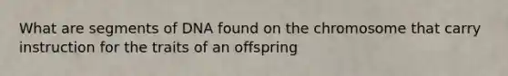 What are segments of DNA found on the chromosome that carry instruction for the traits of an offspring