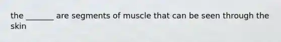 the _______ are segments of muscle that can be seen through the skin