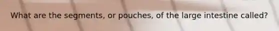 What are the segments, or pouches, of the <a href='https://www.questionai.com/knowledge/kGQjby07OK-large-intestine' class='anchor-knowledge'>large intestine</a> called?