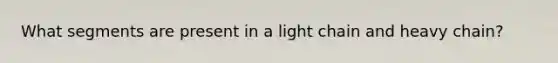 What segments are present in a light chain and heavy chain?