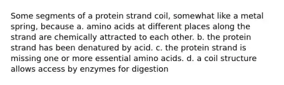 Some segments of a protein strand coil, somewhat like a metal spring, because a. amino acids at different places along the strand are chemically attracted to each other. b. the protein strand has been denatured by acid. c. the protein strand is missing one or more essential amino acids. d. a coil structure allows access by enzymes for digestion