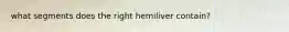 what segments does the right hemiliver contain?