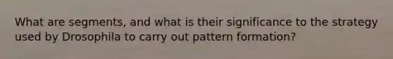 What are segments, and what is their significance to the strategy used by Drosophila to carry out pattern formation?