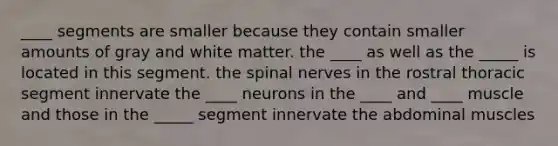 ____ segments are smaller because they contain smaller amounts of gray and white matter. the ____ as well as the _____ is located in this segment. the spinal nerves in the rostral thoracic segment innervate the ____ neurons in the ____ and ____ muscle and those in the _____ segment innervate the abdominal muscles