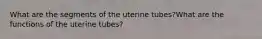 What are the segments of the uterine tubes?What are the functions of the uterine tubes?