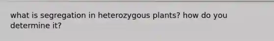 what is segregation in heterozygous plants? how do you determine it?