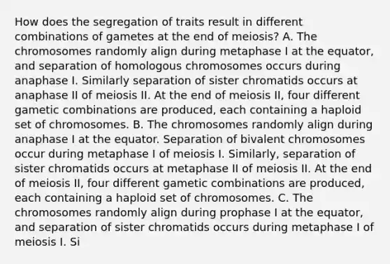 How does the segregation of traits result in different combinations of gametes at the end of meiosis? A. The chromosomes randomly align during metaphase I at the equator, and separation of homologous chromosomes occurs during anaphase I. Similarly separation of sister chromatids occurs at anaphase II of meiosis II. At the end of meiosis II, four different gametic combinations are produced, each containing a haploid set of chromosomes. B. The chromosomes randomly align during anaphase I at the equator. Separation of bivalent chromosomes occur during metaphase I of meiosis I. Similarly, separation of sister chromatids occurs at metaphase II of meiosis II. At the end of meiosis II, four different gametic combinations are produced, each containing a haploid set of chromosomes. C. The chromosomes randomly align during prophase I at the equator, and separation of sister chromatids occurs during metaphase I of meiosis I. Si