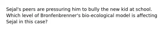 Sejal's peers are pressuring him to bully the new kid at school. Which level of Bronfenbrenner's bio-ecological model is affecting Sejal in this case?