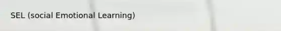 SEL (social Emotional Learning)