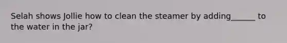 Selah shows Jollie how to clean the steamer by adding______ to the water in the jar?