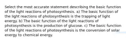 Select the most accurate statement describing the basic function of the light reactions of photosynthesis. a) The basic function of the light reactions of photosynthesis is the trapping of light energy. b) The basic function of the light reactions of photosynthesis is the production of glucose. c) The basic function of the light reactions of photosynthesis is the conversion of solar energy to chemical energy.