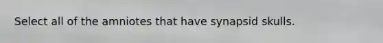 Select all of the amniotes that have synapsid skulls.