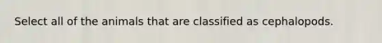 Select all of the animals that are classified as cephalopods.