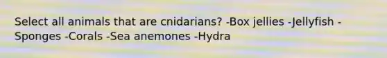 Select all animals that are cnidarians? -Box jellies -Jellyfish -Sponges -Corals -Sea anemones -Hydra