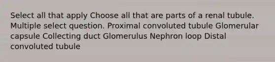 Select all that apply Choose all that are parts of a renal tubule. Multiple select question. Proximal convoluted tubule Glomerular capsule Collecting duct Glomerulus Nephron loop Distal convoluted tubule