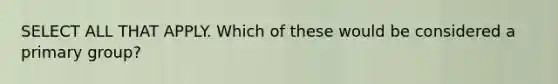 SELECT ALL THAT APPLY. Which of these would be considered a primary group?