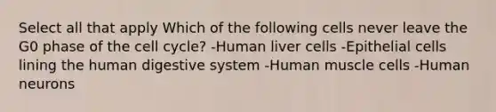 Select all that apply Which of the following cells never leave the G0 phase of the cell cycle? -Human liver cells -Epithelial cells lining the human digestive system -Human muscle cells -Human neurons