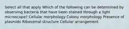 Select all that apply Which of the following can be determined by observing bacteria that have been stained through a light microscope? Cellular morphology Colony morphology Presence of plasmids Ribosomal structure Cellular arrangement