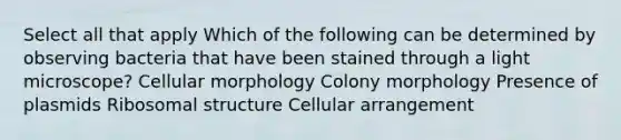 Select all that apply Which of the following can be determined by observing bacteria that have been stained through a light microscope? Cellular morphology Colony morphology Presence of plasmids Ribosomal structure Cellular arrangement