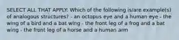 SELECT ALL THAT APPLY: Which of the following is/are example(s) of analogous structures? - an octopus eye and a human eye - the wing of a bird and a bat wing - the front leg of a frog and a bat wing - the front leg of a horse and a human arm