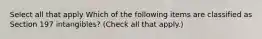 Select all that apply Which of the following items are classified as Section 197 intangibles? (Check all that apply.)