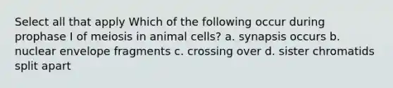 Select all that apply Which of the following occur during prophase I of meiosis in animal cells? a. synapsis occurs b. nuclear envelope fragments c. crossing over d. sister chromatids split apart