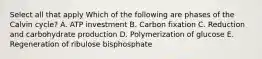 Select all that apply Which of the following are phases of the Calvin cycle? A. ATP investment B. Carbon fixation C. Reduction and carbohydrate production D. Polymerization of glucose E. Regeneration of ribulose bisphosphate