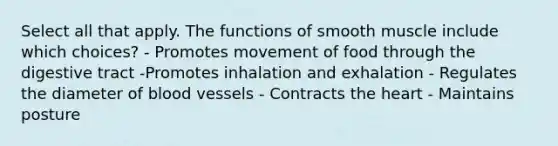 Select all that apply. The functions of smooth muscle include which choices? - Promotes movement of food through the digestive tract -Promotes inhalation and exhalation - Regulates the diameter of blood vessels - Contracts the heart - Maintains posture