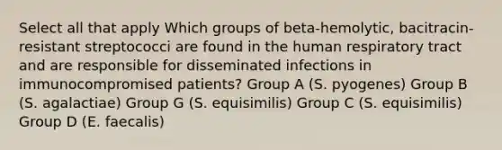 Select all that apply Which groups of beta-hemolytic, bacitracin-resistant streptococci are found in the human respiratory tract and are responsible for disseminated infections in immunocompromised patients? Group A (S. pyogenes) Group B (S. agalactiae) Group G (S. equisimilis) Group C (S. equisimilis) Group D (E. faecalis)