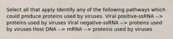 Select all that apply Identify any of the following pathways which could produce proteins used by viruses. Viral positive-ssRNA --> proteins used by viruses Viral negative-ssRNA --> proteins used by viruses Host DNA --> mRNA --> proteins used by viruses