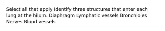 Select all that apply Identify three structures that enter each lung at the hilum. Diaphragm Lymphatic vessels Bronchioles Nerves Blood vessels