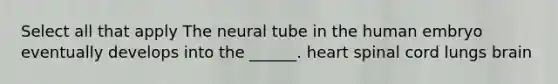 Select all that apply The neural tube in the human embryo eventually develops into the ______. heart spinal cord lungs brain