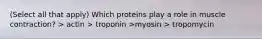 (Select all that apply) Which proteins play a role in muscle contraction? > actin > troponin >myosin > tropomycin