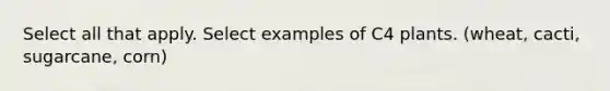 Select all that apply. Select examples of C4 plants. (wheat, cacti, sugarcane, corn)