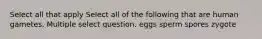 Select all that apply Select all of the following that are human gametes. Multiple select question. eggs sperm spores zygote