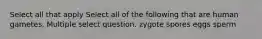 Select all that apply Select all of the following that are human gametes. Multiple select question. zygote spores eggs sperm