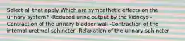 Select all that apply Which are sympathetic effects on the urinary system? -Reduced urine output by the kidneys -Contraction of the urinary bladder wall -Contraction of the internal urethral sphincter -Relaxation of the urinary sphincter