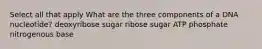 Select all that apply What are the three components of a DNA nucleotide? deoxyribose sugar ribose sugar ATP phosphate nitrogenous base