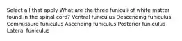 Select all that apply What are the three funiculi of white matter found in the spinal cord? Ventral funiculus Descending funiculus Commissure funiculus Ascending funiculus Posterior funiculus Lateral funiculus