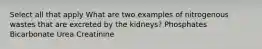 Select all that apply What are two examples of nitrogenous wastes that are excreted by the kidneys? Phosphates Bicarbonate Urea Creatinine