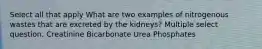 Select all that apply What are two examples of nitrogenous wastes that are excreted by the kidneys? Multiple select question. Creatinine Bicarbonate Urea Phosphates